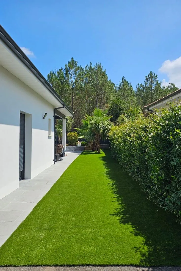 Gazon et massifs contemporains devant maison moderne
